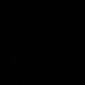 Meet your Posher, Fernando